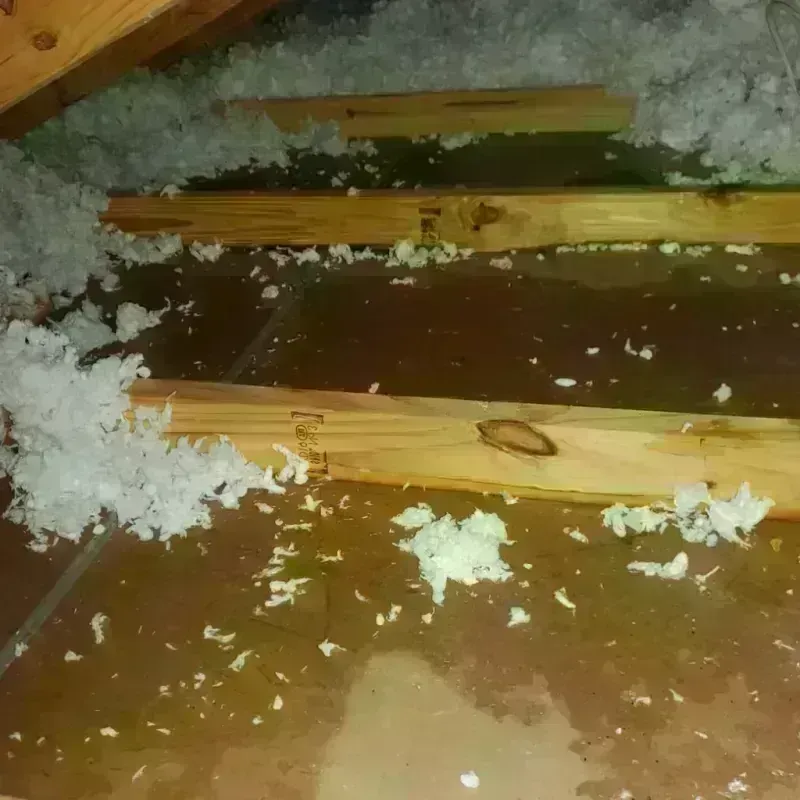 Attic Water Damage in Amite County, MS